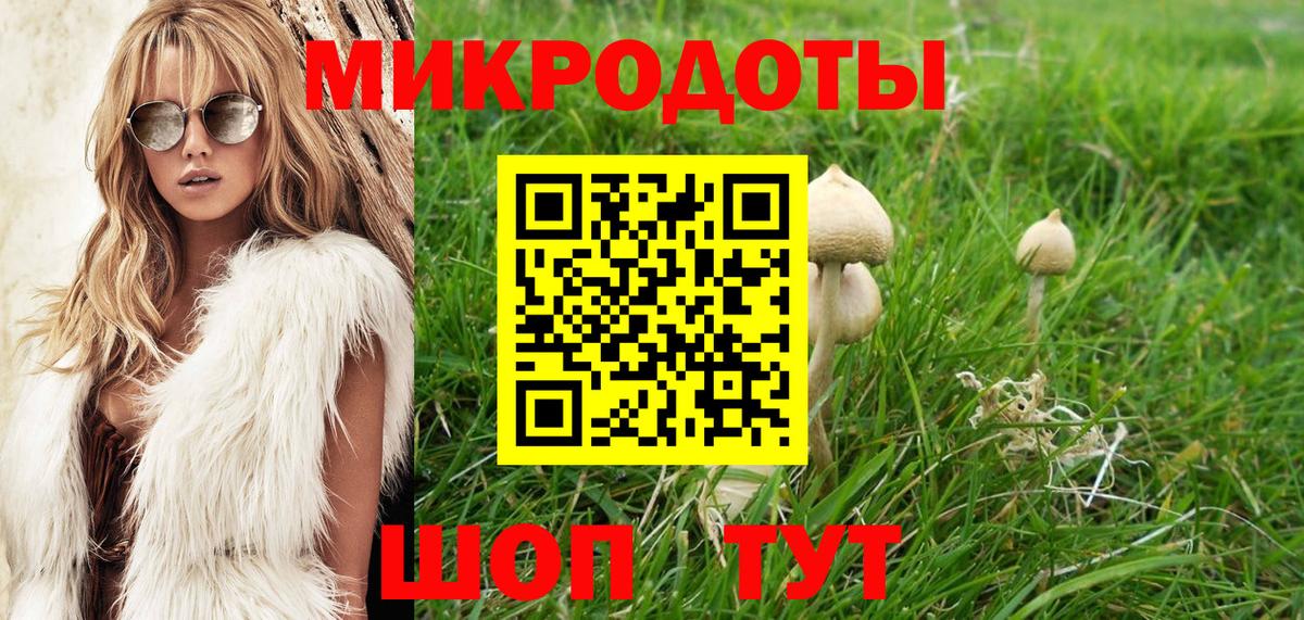 Галлюциногенные грибы мухоморы Губкин