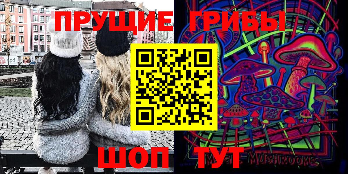 Губкин  Псилоцибиновые грибы Psilocybine cubensis  Вход с VPN 