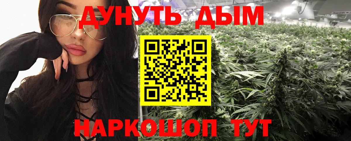 Бошки марихуана ГИДРОПОН  Шишки марихуана THC 21%  МАРИХУАНА план  Губкин  Канабис THC 21%  Вход с VPN 